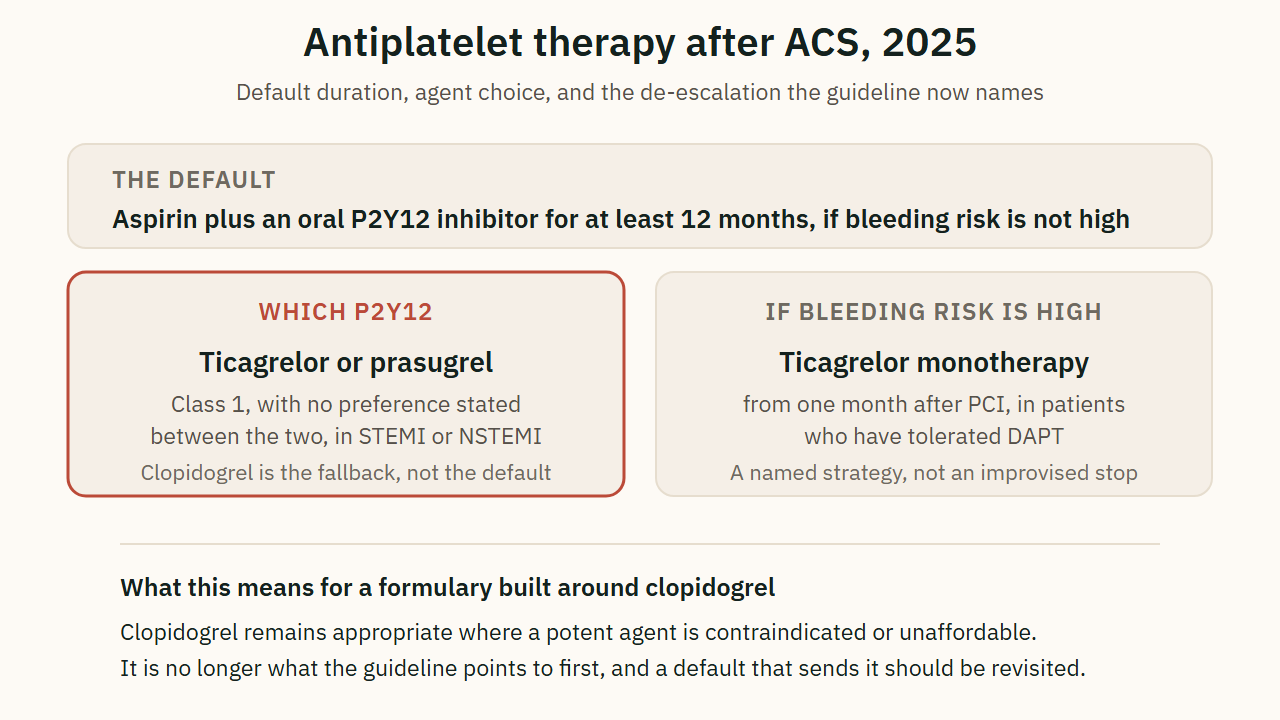 Antiplatelet therapy after ACS, 2025